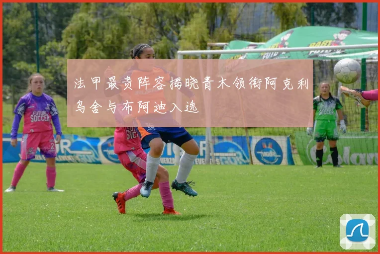 法甲最贵阵容揭晓青木领衔阿克利乌舍与布阿迪入选