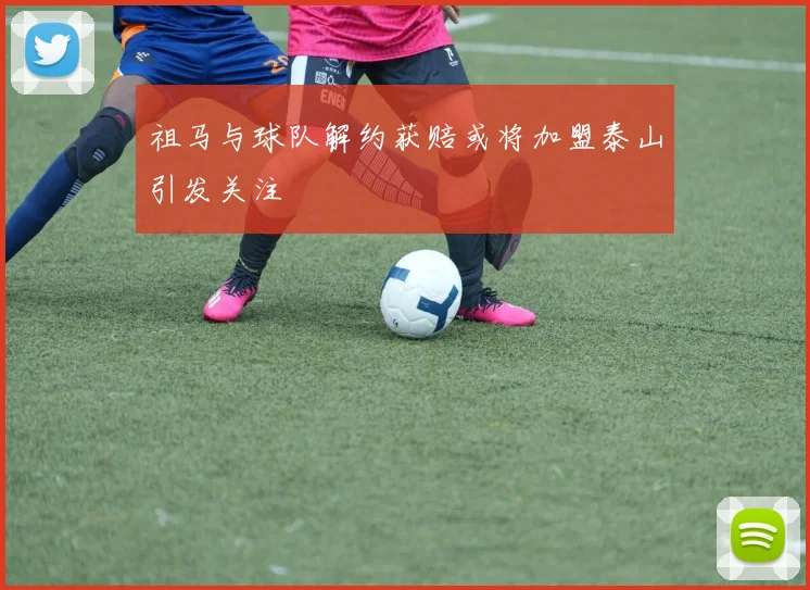 祖马与球队解约获赔或将加盟泰山引发关注